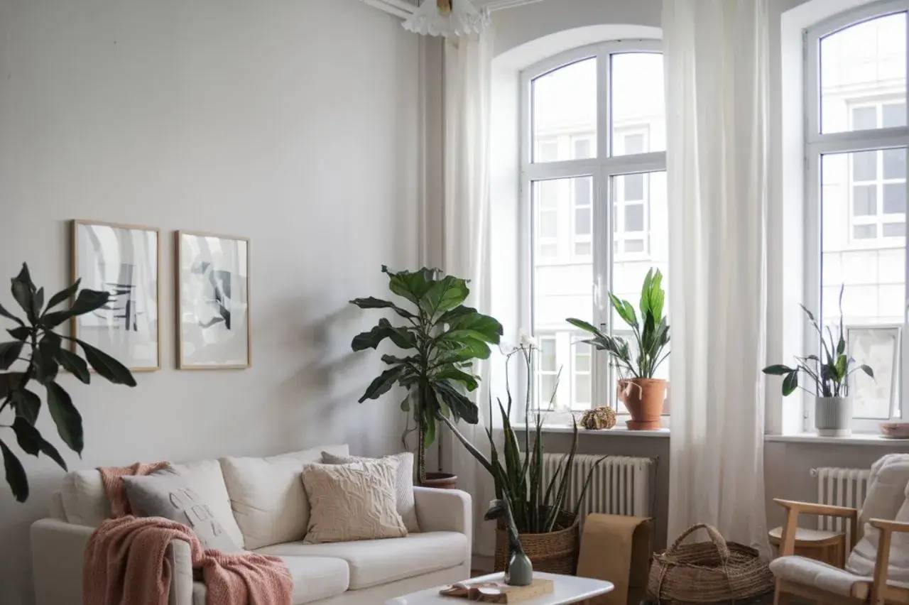 Un salon lumineux et minimaliste avec des plantes vertes, décoré de meubles couleur crème et d'œuvres d'art encadrées.