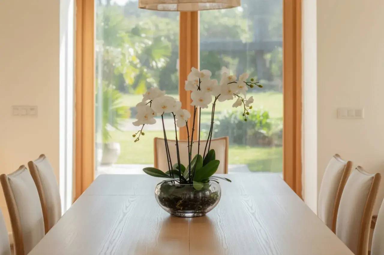 Un élégant vase d'orchidées blanches est posé sur une table en bois avec une vue sur un jardin verdoyant à travers de grandes fenêtres