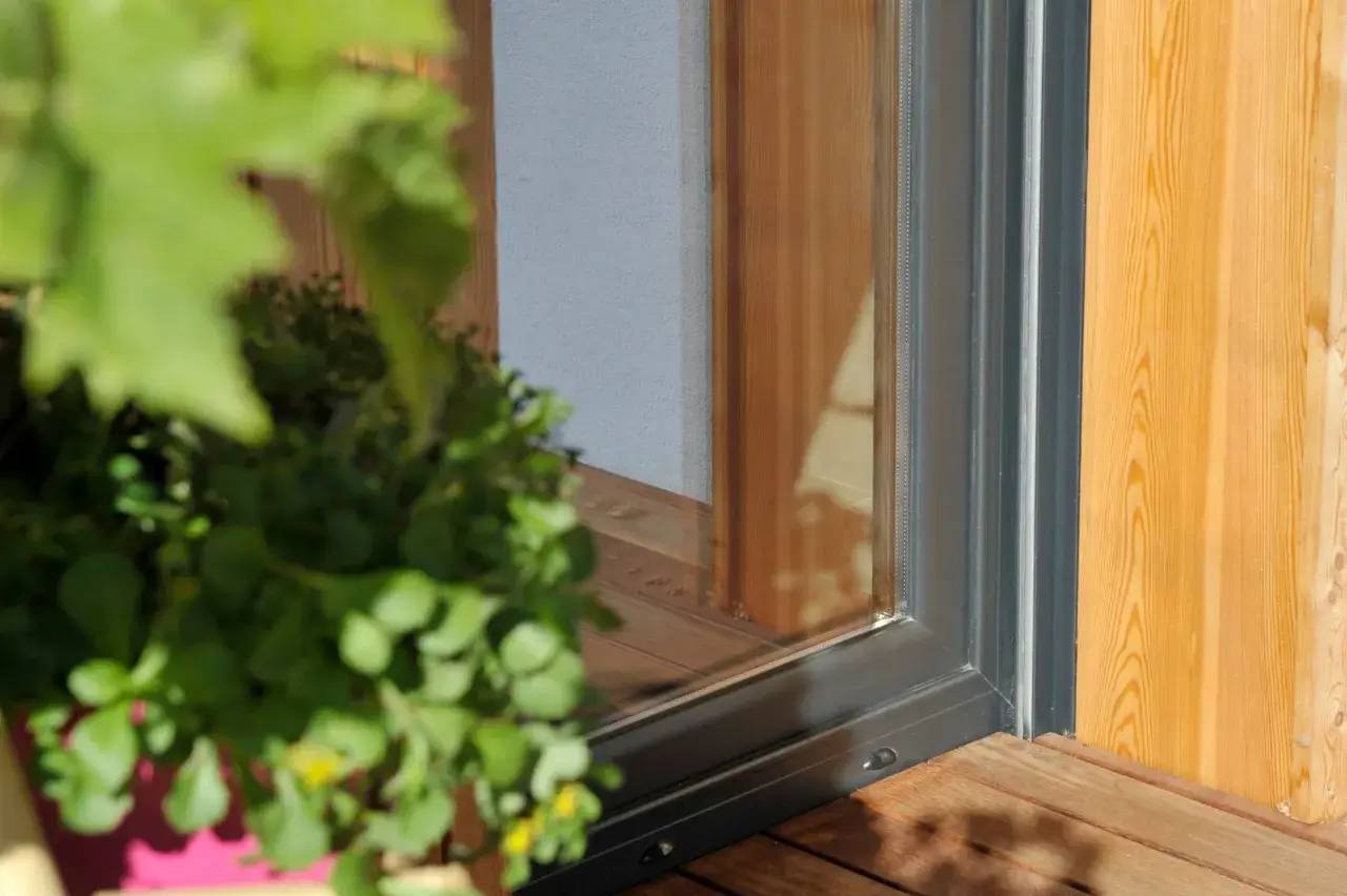 Une plante verte est placée près d'une porte vitrée en bois, laissant entrer la lumière naturelle.