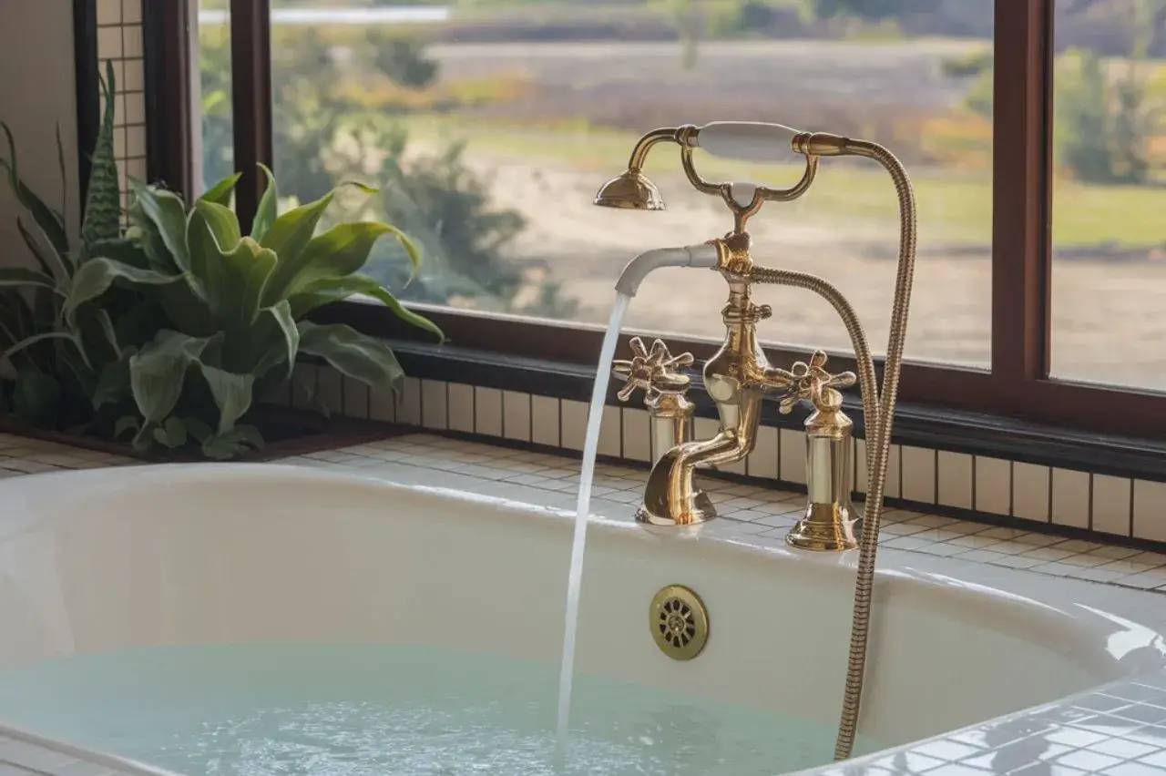 Un robinet doré de style vintage verse de l'eau dans une baignoire blanche près d'une fenêtre avec des plantes.
