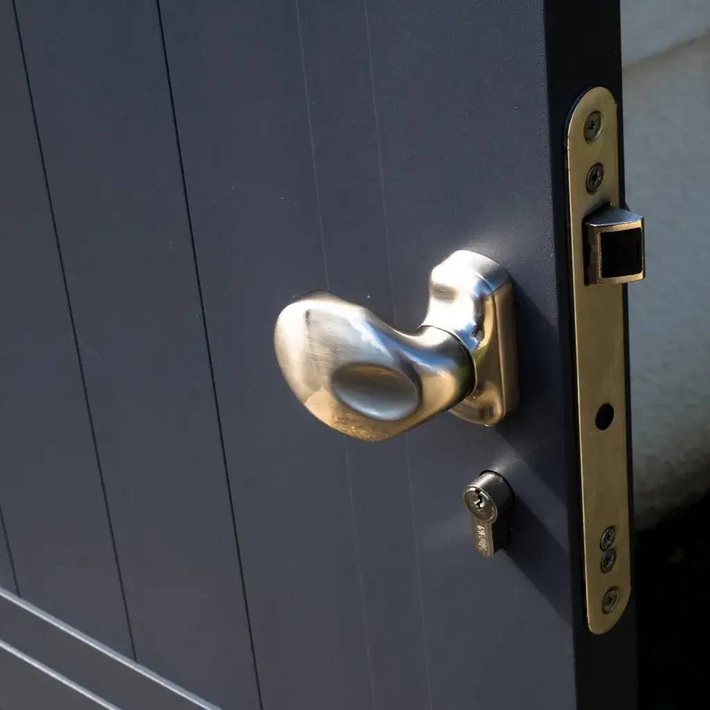 Cette image montre une porte en métal gris foncé équipée d'une poignée et d'une serrure argentées.