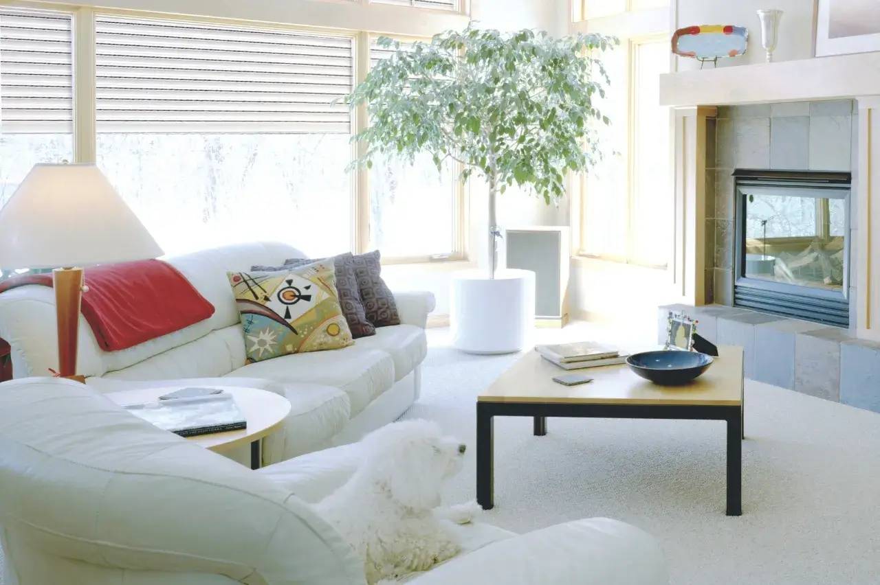 Un intérieur lumineux et confortable avec un canapé blanc, des coussins colorés, une cheminée moderne, et un arbre en pot près des fenêtres.