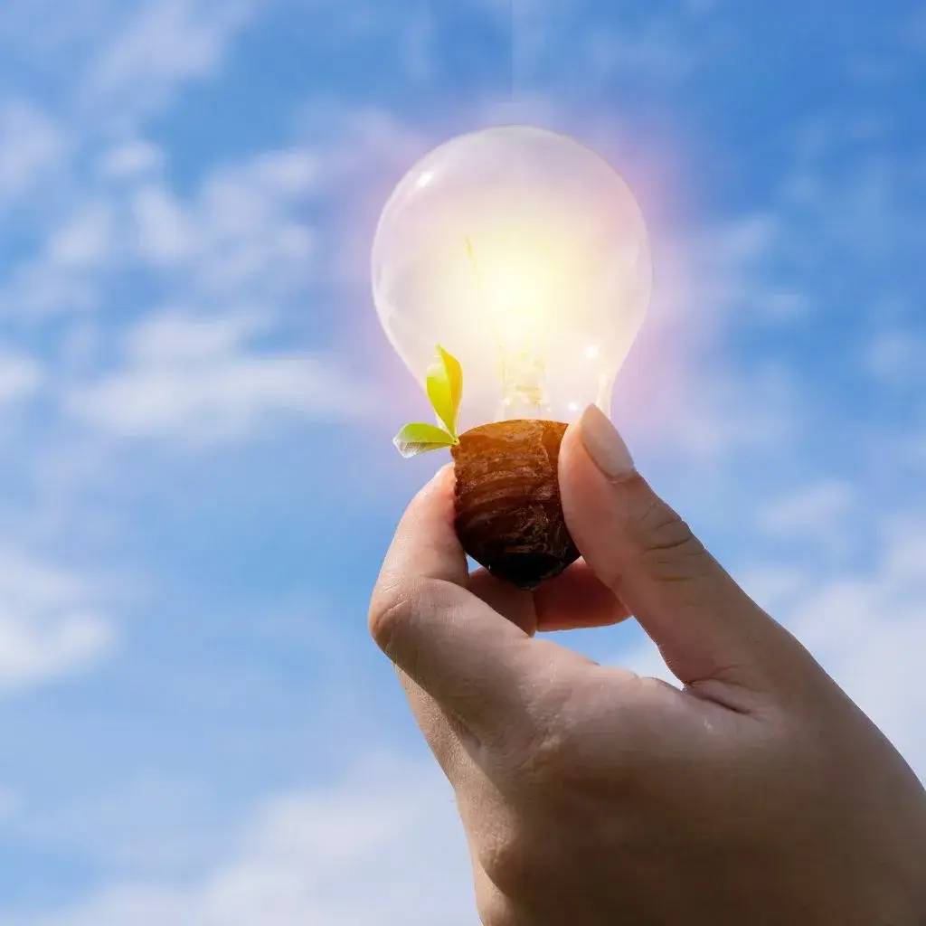 Une main tient une ampoule illuminée avec une petite pousse verte, symbolisant l'innovation durable, sur fond de ciel bleu.